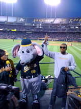 Vendor dance-off #11