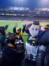 Vendor dance-off #12